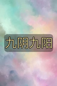 九阴九阳封面