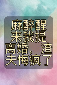 麻醉醒来我提离婚,渣夫悔疯了封面