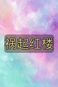 祸起红楼封面