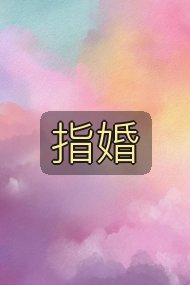 指婚封面