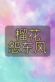 榴花怨东风封面