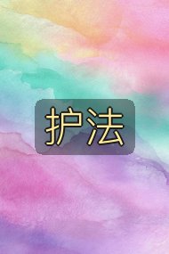 护法封面
